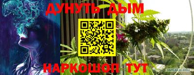 трава Новодвинск