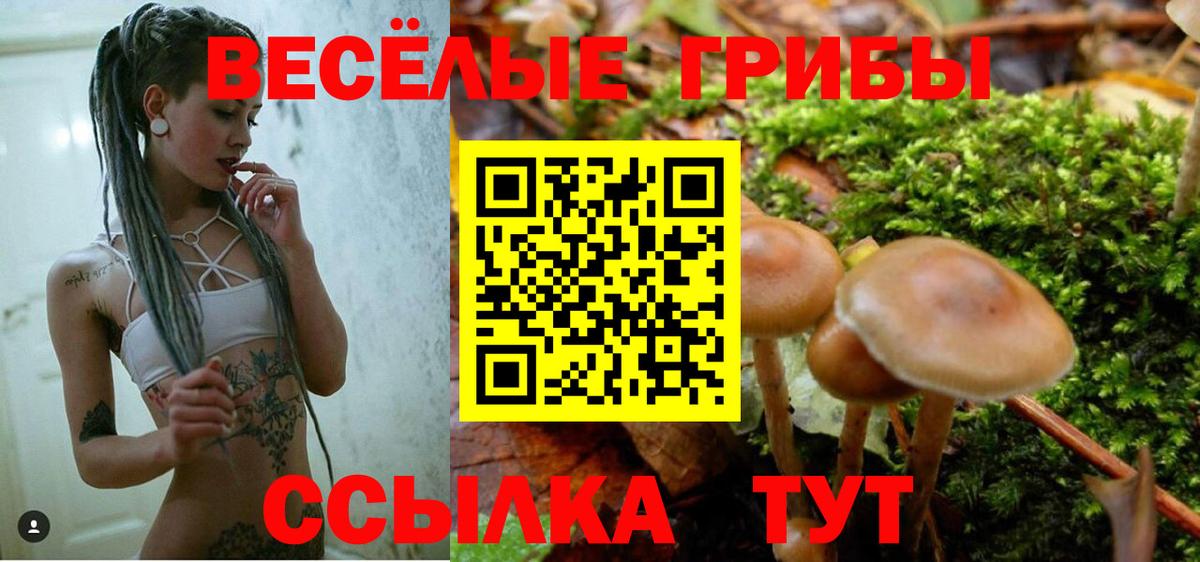 Галлюциногенные грибы ЛСД Старая Купавна